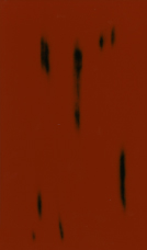#001 根来